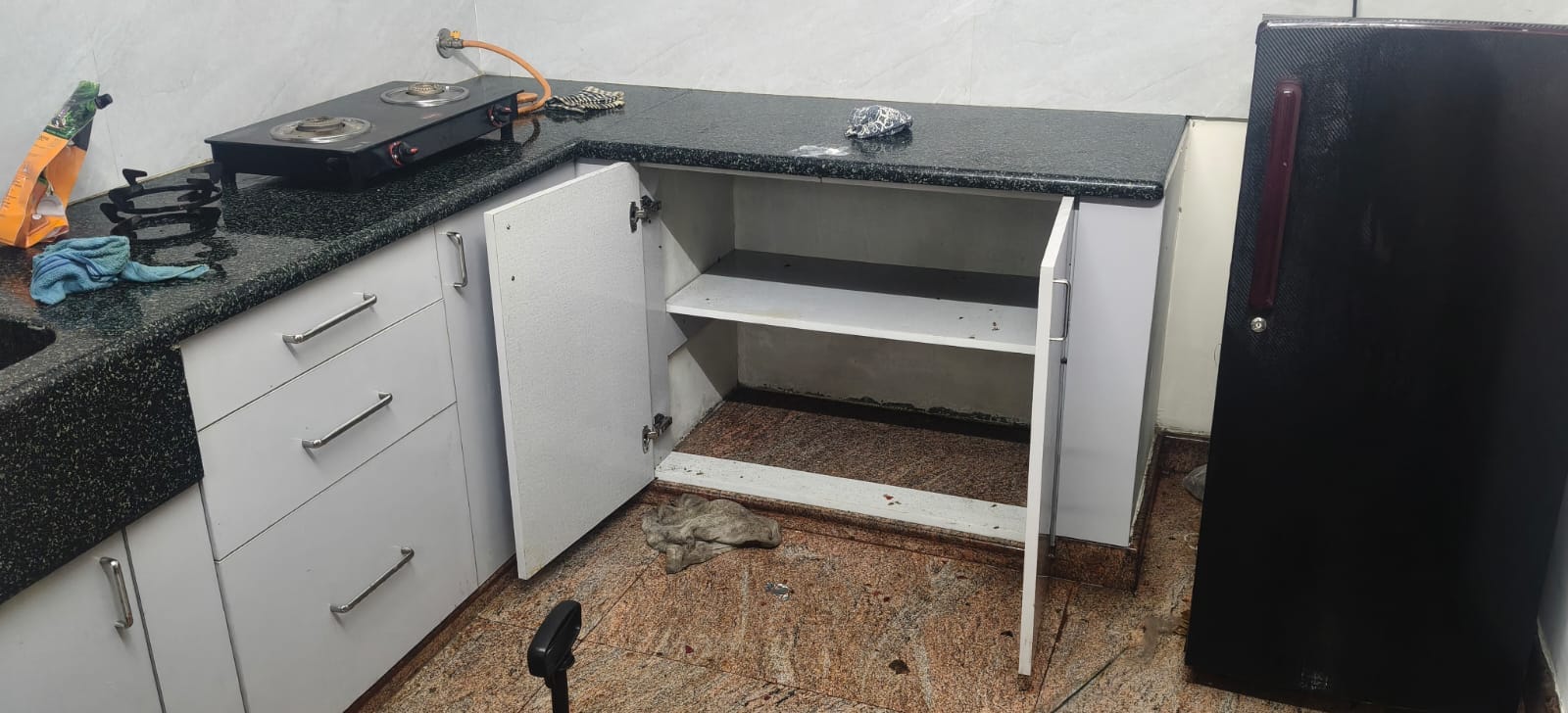 Cockroach treatment before after Standard Pest Control