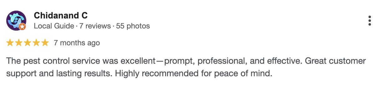 Google Review 2