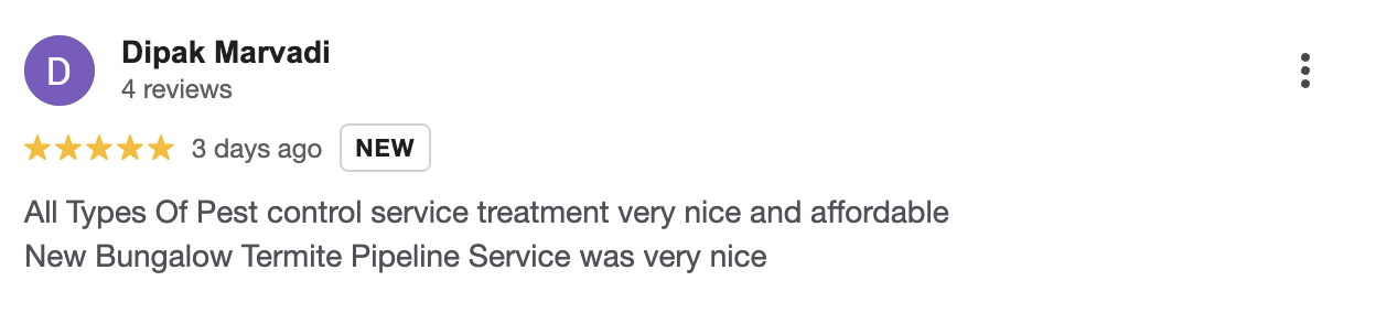 Google Review 4