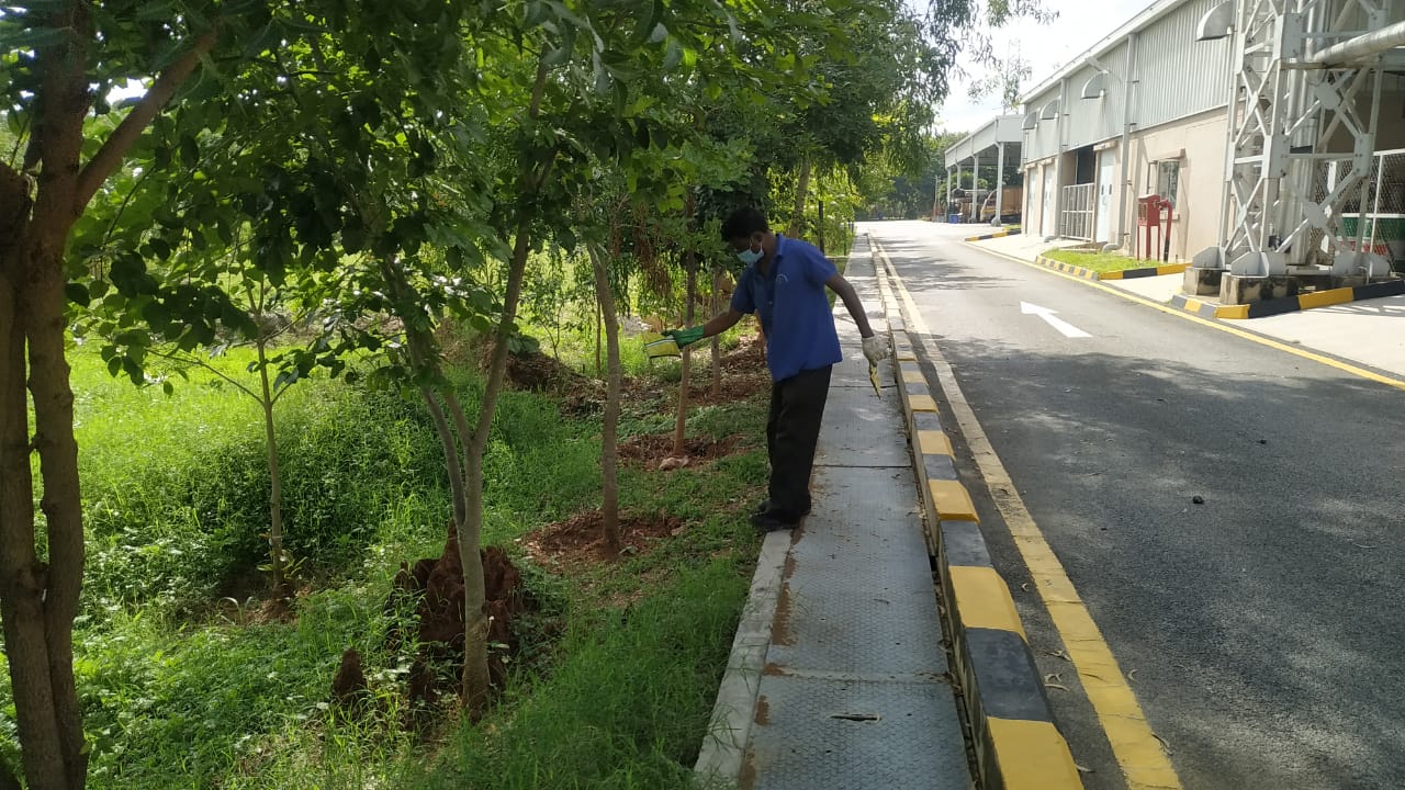 Pest Control Service