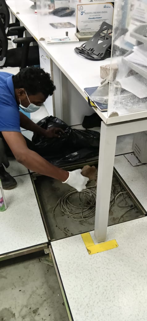 Under-floor pest inspection corporate office Bangalore